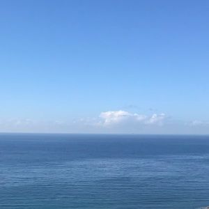 Meet your Posher, Isabel